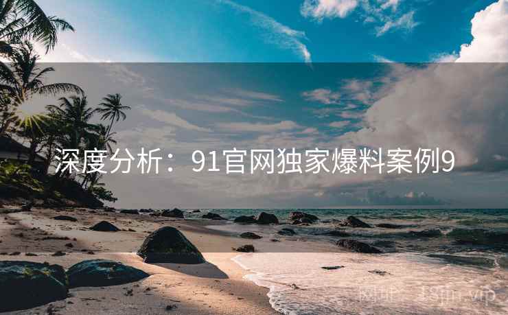 深度分析：91官网独家爆料案例9