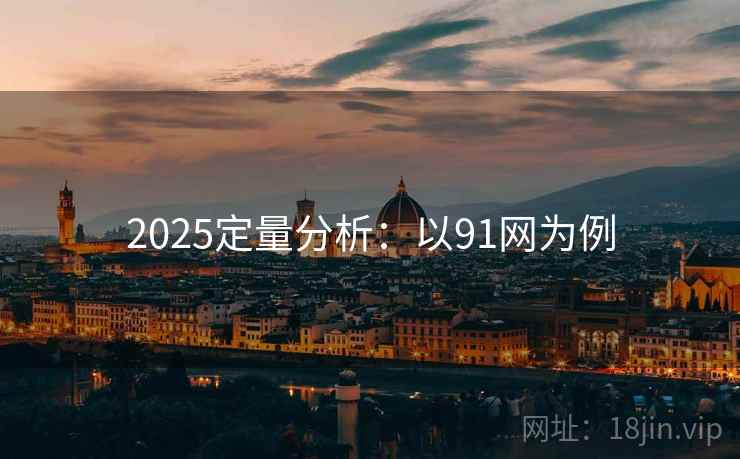 2025定量分析：以91网为例