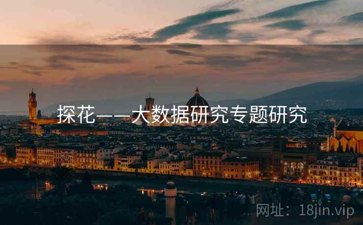 探花——大数据研究专题研究 探花——大数据研究专题研究