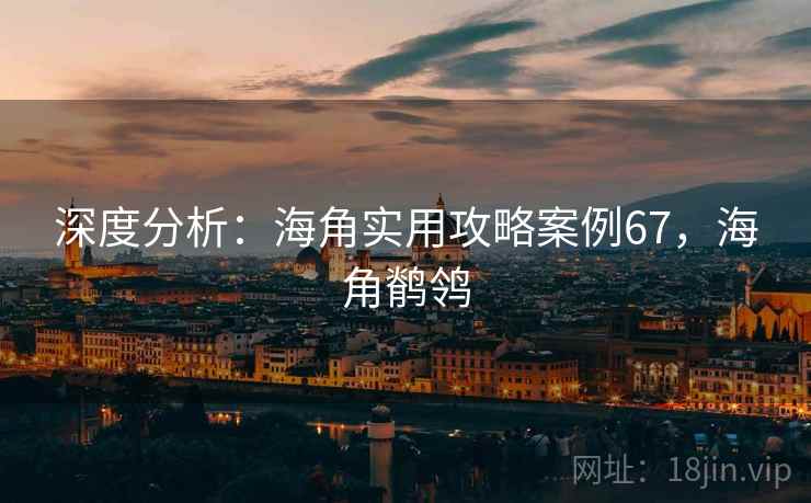 深度分析：海角实用攻略案例67，海角鹡鸰