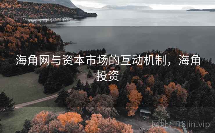 海角网与资本市场的互动机制，海角投资