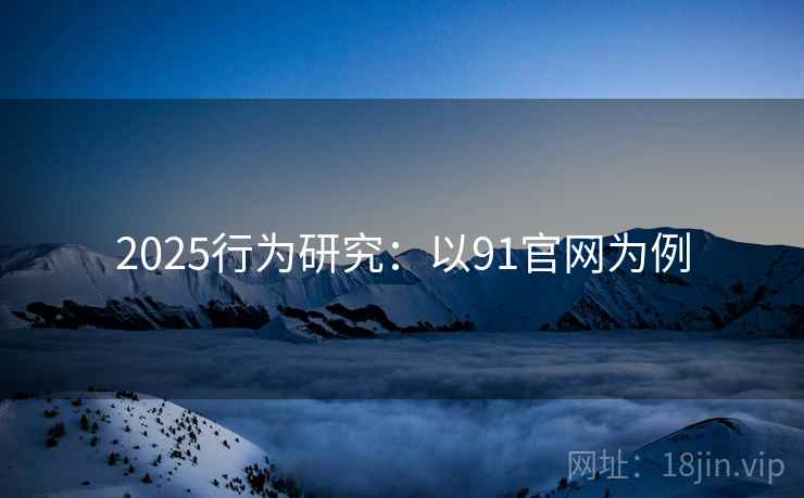 2025行为研究：以91官网为例