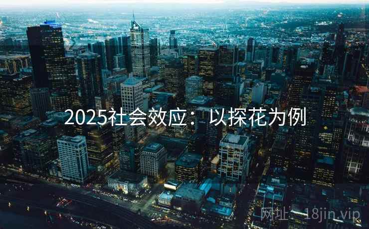2025社会效应:以探花为例 2025社会效应:以探花为例