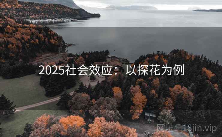 2025社会效应:以探花为例 2025社会效应:以探花为例