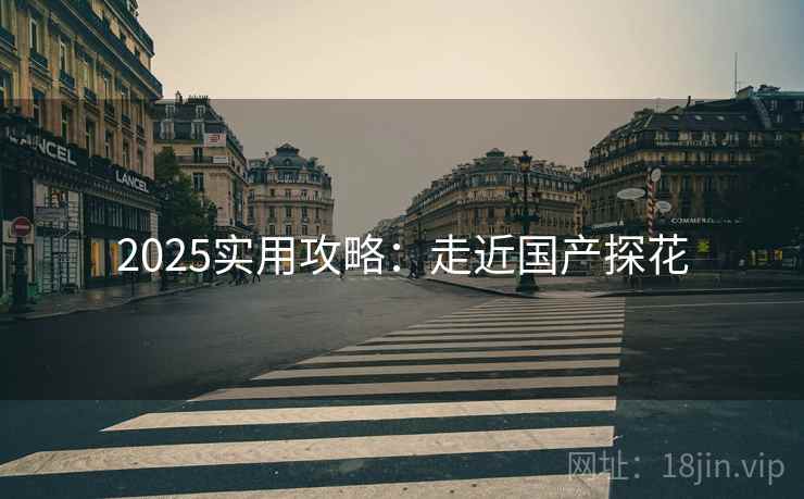 2025实用攻略：走近国产探花