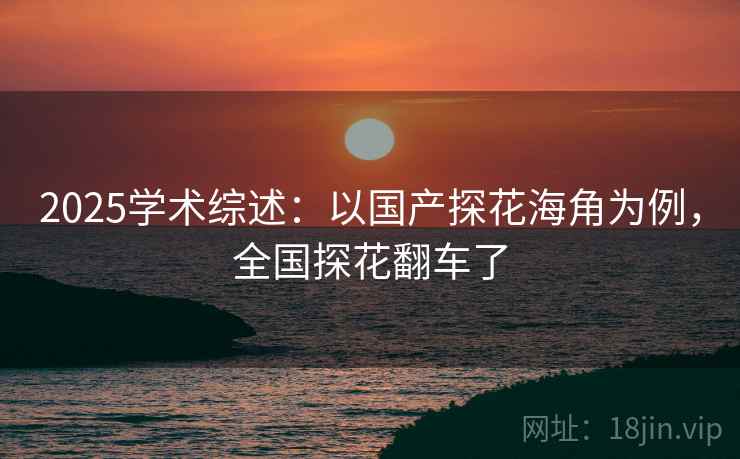 2025学术综述:以国产探花海角为例,全国探花翻车了 2025学术综述:以国产探花海角为例,全国探花翻车了