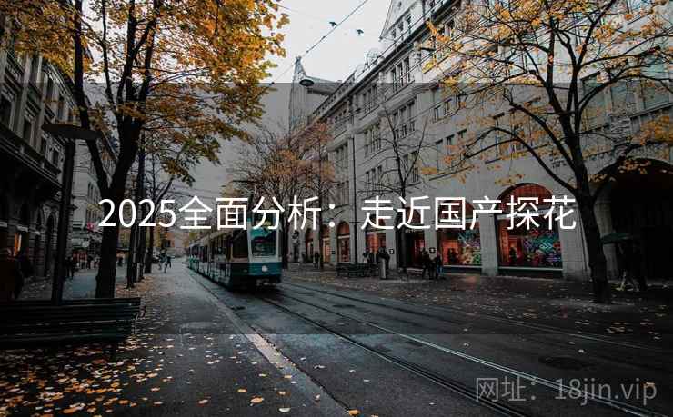 2025全面分析:走近国产探花 2025全面分析:走近国产探花