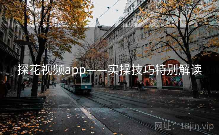 探花视频app——实操技巧特别解读