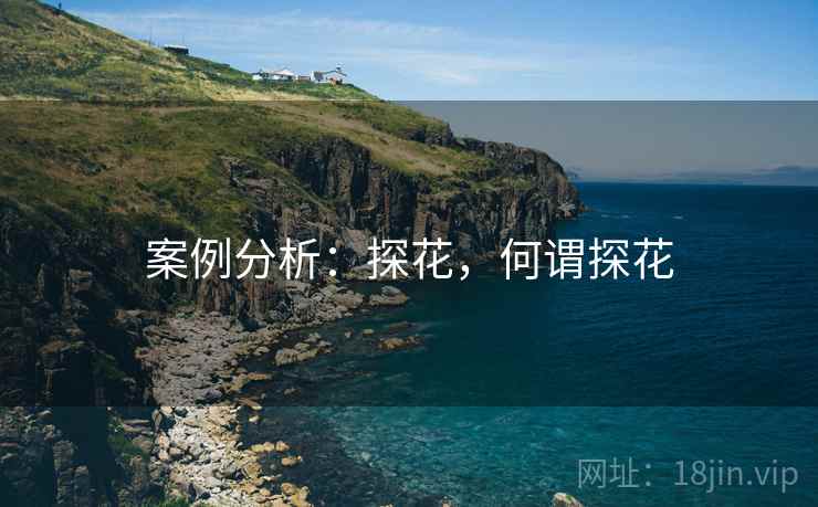 案例分析：探花，何谓探花