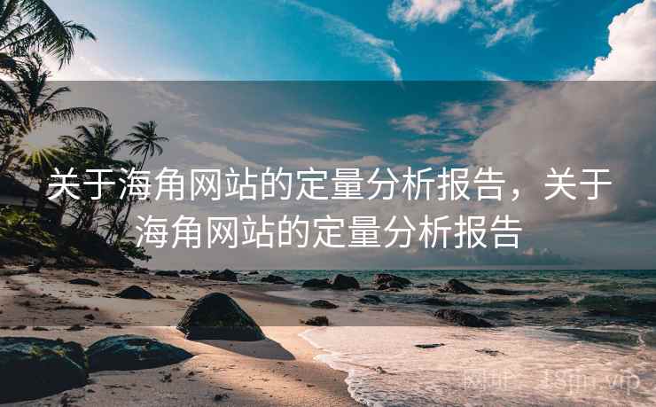 关于海角网站的定量分析报告，关于海角网站的定量分析报告